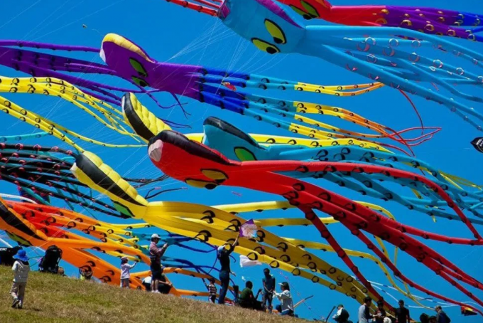 Kites Fest